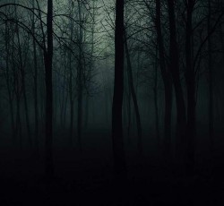 Ανασκόπηση 2016: Ατμοσφαιρικό Rock / Metal 