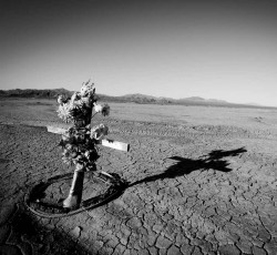 Ανασκόπηση 2016: Doom / Stoner / Sludge / Heavy Rock 