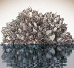 Ανασκόπηση 2016: Post-Rock 