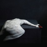 Αντώνης Κονδύλης: Τα καλύτερα άλμπουμ του 2017