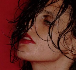 Νίκος Παπαδογιάννης: Τα καλύτερα άλμπουμ του 2018