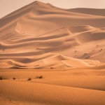 Underground Express #8 - Roots, Bloody Roots