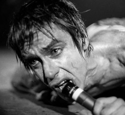 «10»: Φορές που ο Iggy Pop μας άφησε με το στόμα ανοιχτό