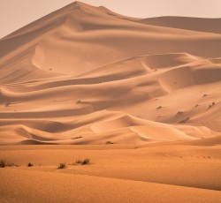 Underground Express #8 - Roots, Bloody Roots 