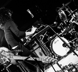 «10»: Αγαπημένοι δίσκοι των Insect Ark 