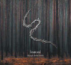 Νίκος Καταπίδης: Τα καλύτερα άλμπουμ του 2020 