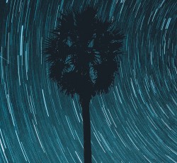 Ανασκόπηση 2020: Post-Rock