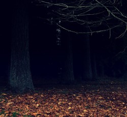 To Enter Pagan #10: Η ζωή, η τελετή, η ύπαρξη 