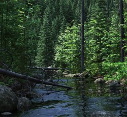 To Enter Pagan #2: Η ιστορία, ο μύθος, το νερό 