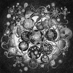 Long Distance Calling Long Distance Calling