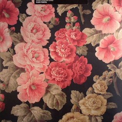 Mark Lanegan Band Blues Funeral