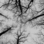 Ανασκόπηση 2021: Ατμοσφαιρικό Rock / Metal