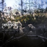 Άλκης Κοροβέσης: Τα καλύτερα άλμπουμ του 2021