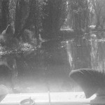 Ανασκόπηση 2021: Post-Rock