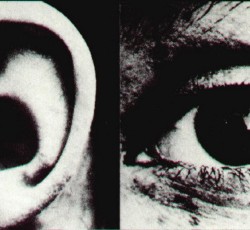 Το περιβόητο «άρθρο 8» και ο ρόλος του καλλιτεχνικού μέσου 