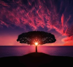 Underground Express #24 - Δύο κύκλοι γύρω από τον ήλιο 