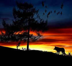 Underground Express #28 - Ο νομάδας εαυτός 