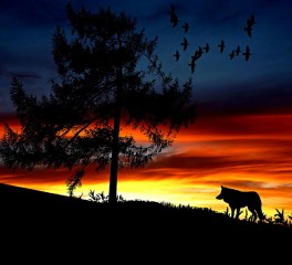 Underground Express #28 - Ο νομάδας εαυτός