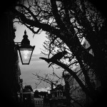 Underground Express #40 - Poison Grey