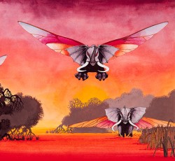 Το μαγευτικά ανατατικό, προοδευτικό πρόσωπο της Αφρικής 