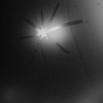 Ιάσονας Τσιμπλάκος: Τα καλύτερα άλμπουμ του 2024