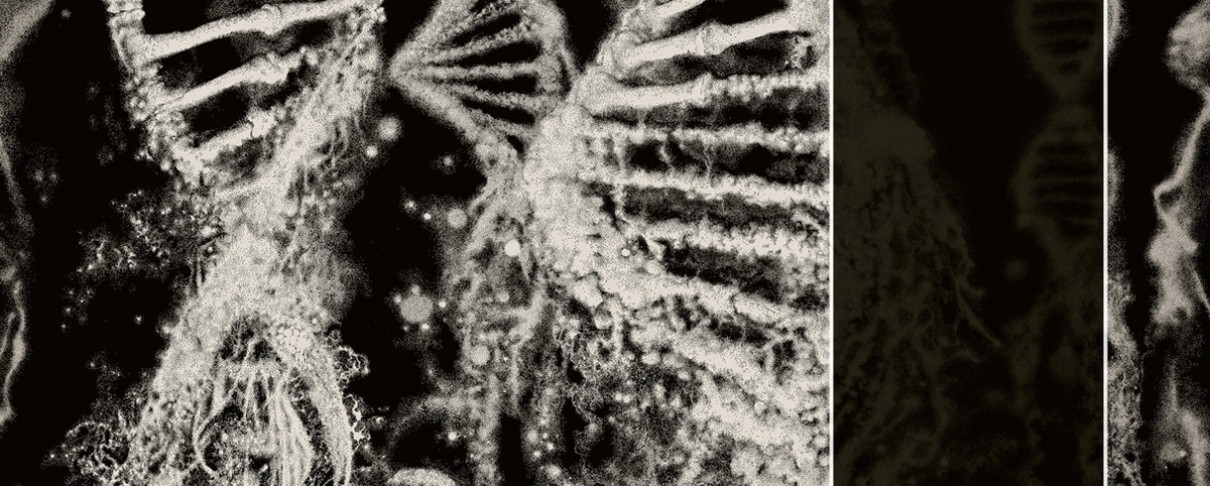 Σπύρος Χονδρογιάννης: Τα καλύτερα άλμπουμ του 2025