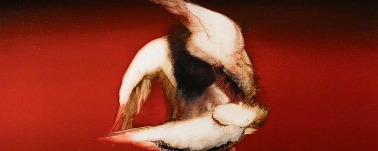 Αντώνης Αντωνιάδης: Τα καλύτερα άλμπουμ του 2025