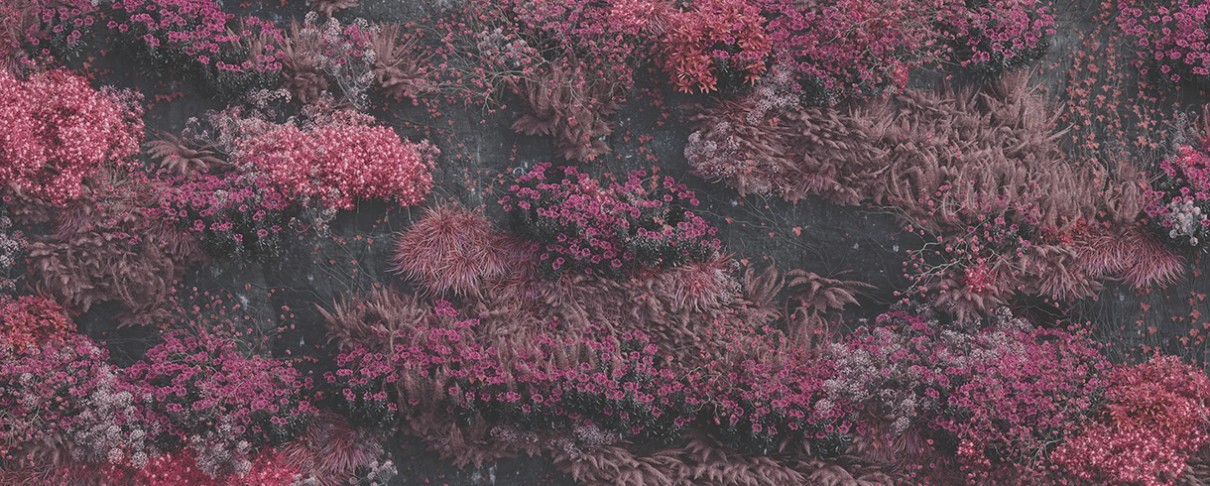 Βλάσης Λέττας: Τα καλύτερα άλμπουμ του 2025