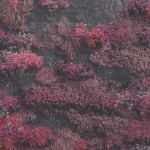 Βλάσης Λέττας: Τα καλύτερα άλμπουμ του 2025