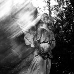 Ανασκόπηση 2025: Extreme Metal