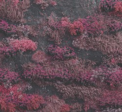 Βλάσης Λέττας: Τα καλύτερα άλμπουμ του 2025 