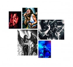 She Wolf in heavy metal
