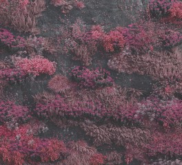 Βλάσης Λέττας: Τα καλύτερα άλμπουμ του 2025