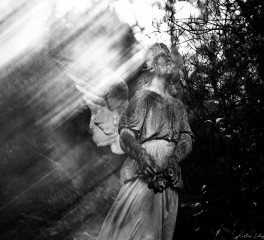 Ανασκόπηση 2025: Extreme Metal