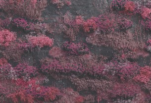 Βλάσης Λέττας: Τα καλύτερα άλμπουμ του 2025