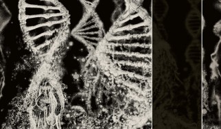 Θωμάς Σαρακίντσης: Τα καλύτερα άλμπουμ του 2025