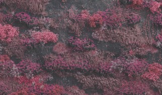 Βλάσης Λέττας: Τα καλύτερα άλμπουμ του 2025