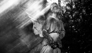 Ανασκόπηση 2025: Extreme Metal