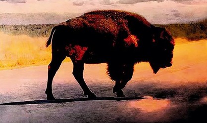 Αντώνης Μουστάκας: Τα καλύτερα άλμπουμ του 2025