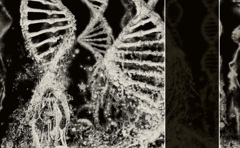 Σπύρος Χονδρογιάννης: Τα καλύτερα άλμπουμ του 2025