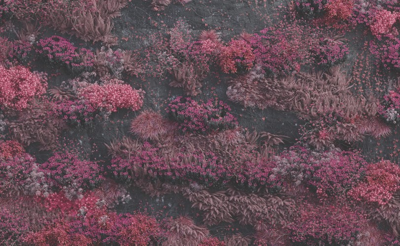 Βλάσης Λέττας: Τα καλύτερα άλμπουμ του 2025