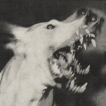 Cisnienie - [angry noises]