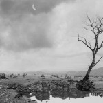 Νέες Κυκλοφορίες - Φεβρουάριος 2026