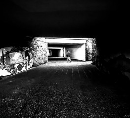 An Arsonist's Player #1: We're Outside!