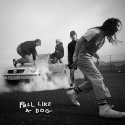 Τhe Scratch - Pull Like A Dog