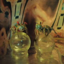 Akkajee - Pölynkerääjä