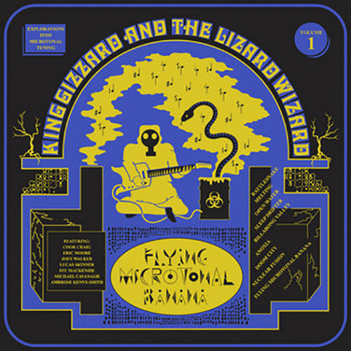 King Gizzard And The Lizard Wizard - Flying Microtonal Banana