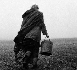 Μια αέναη δυσαρμονία 