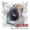Rex Mundi - Balance Between Madness And Hope