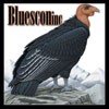 Bluescon Inc - Bluescon Inc